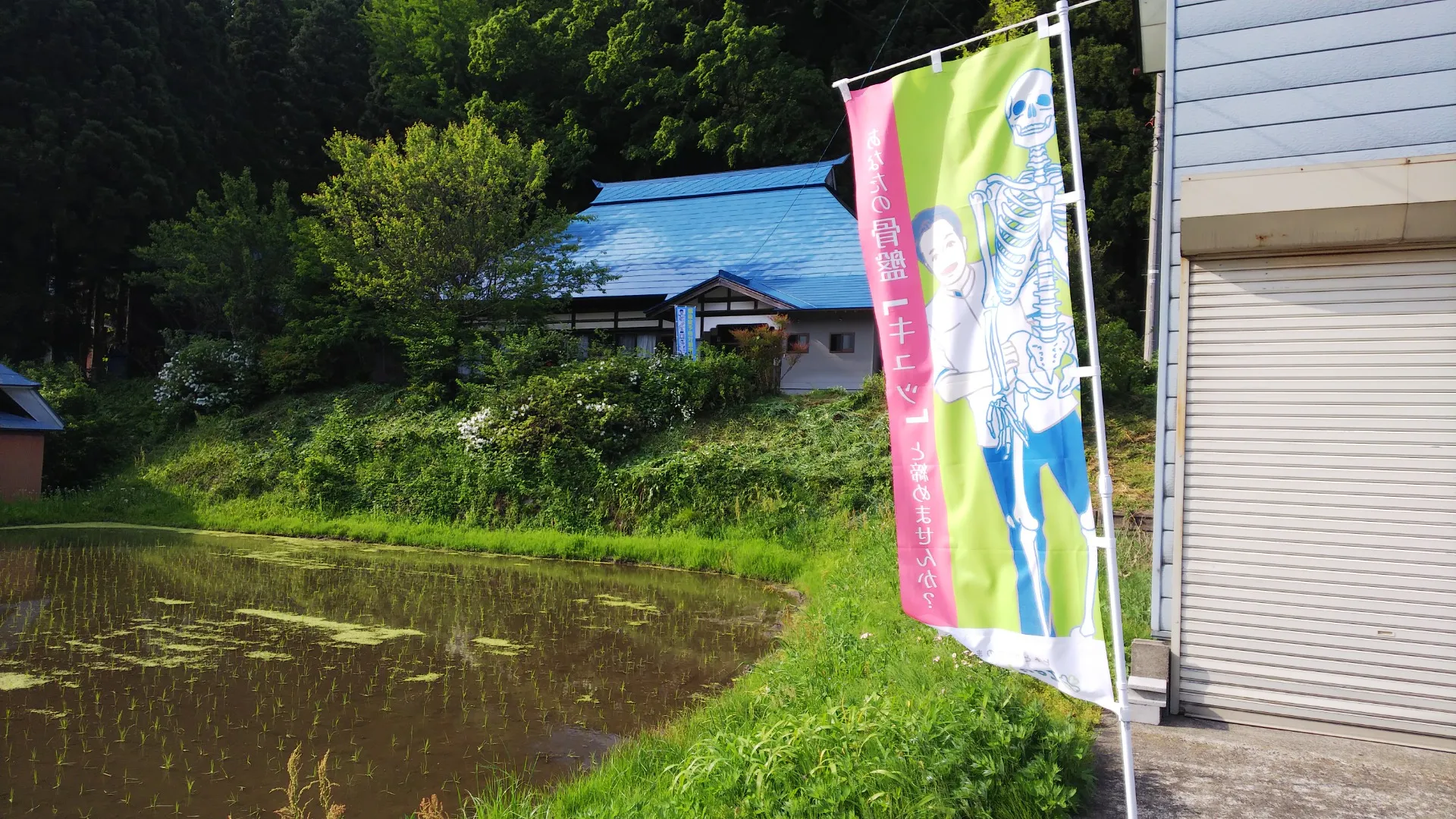 カイロプラクティック ワタナベ